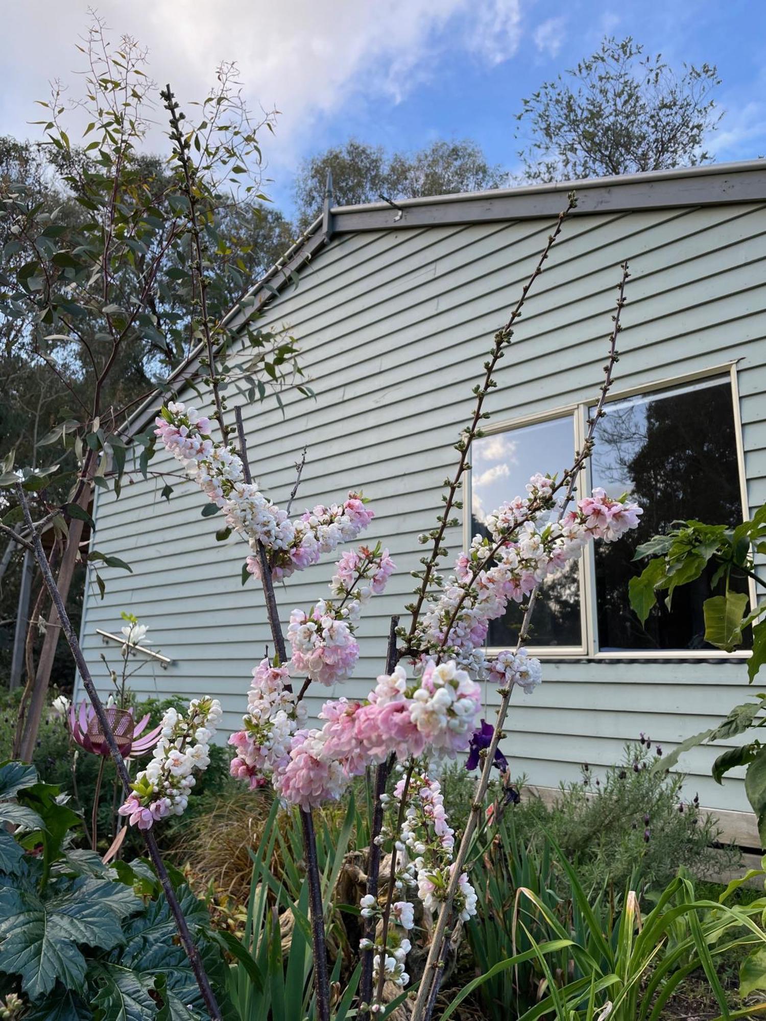 Tindoona Cottages Foster Exterior photo