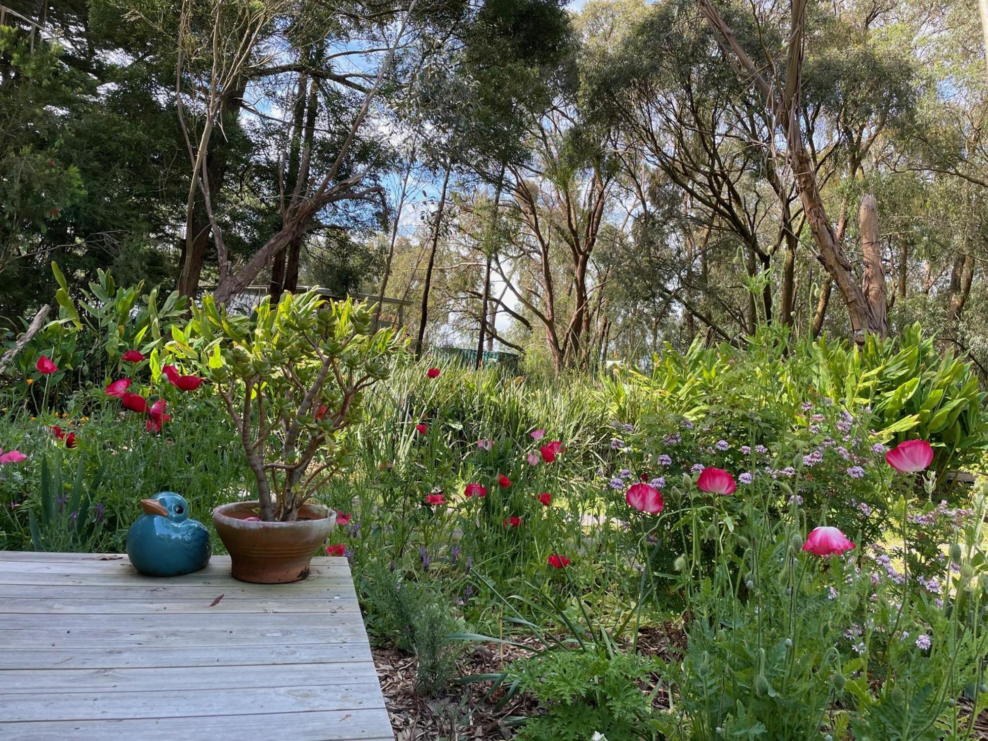 Tindoona Cottages Foster Exterior photo